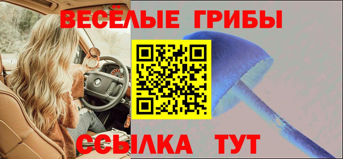 Псилоцибиновые грибы ЛСД Азнакаево